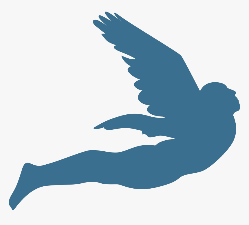 Accipitridae, HD Png Download