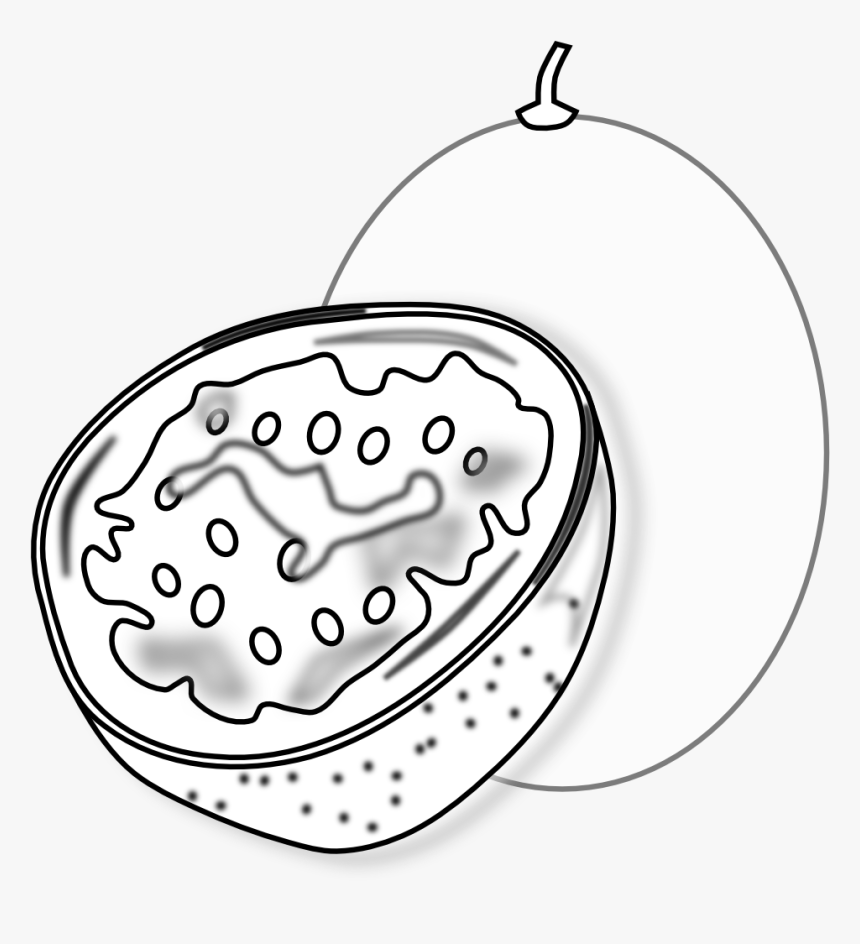 Passion Fruit For Coloring, HD Png Download