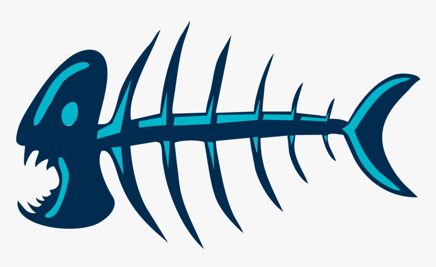 Transparent Fishing Net Png - Dead Fish Bone Png, Png Download