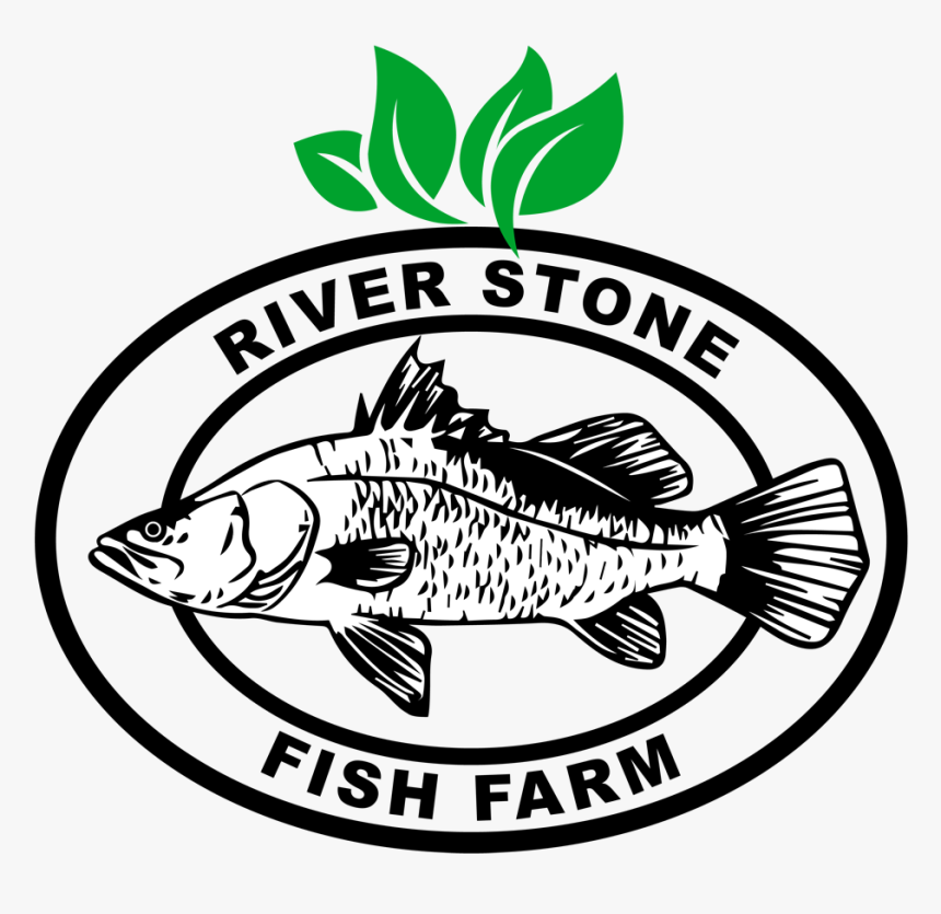 Featured image of post Dead Fish In River Clipart