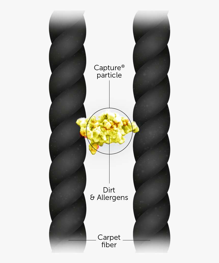 Diagram, HD Png Download