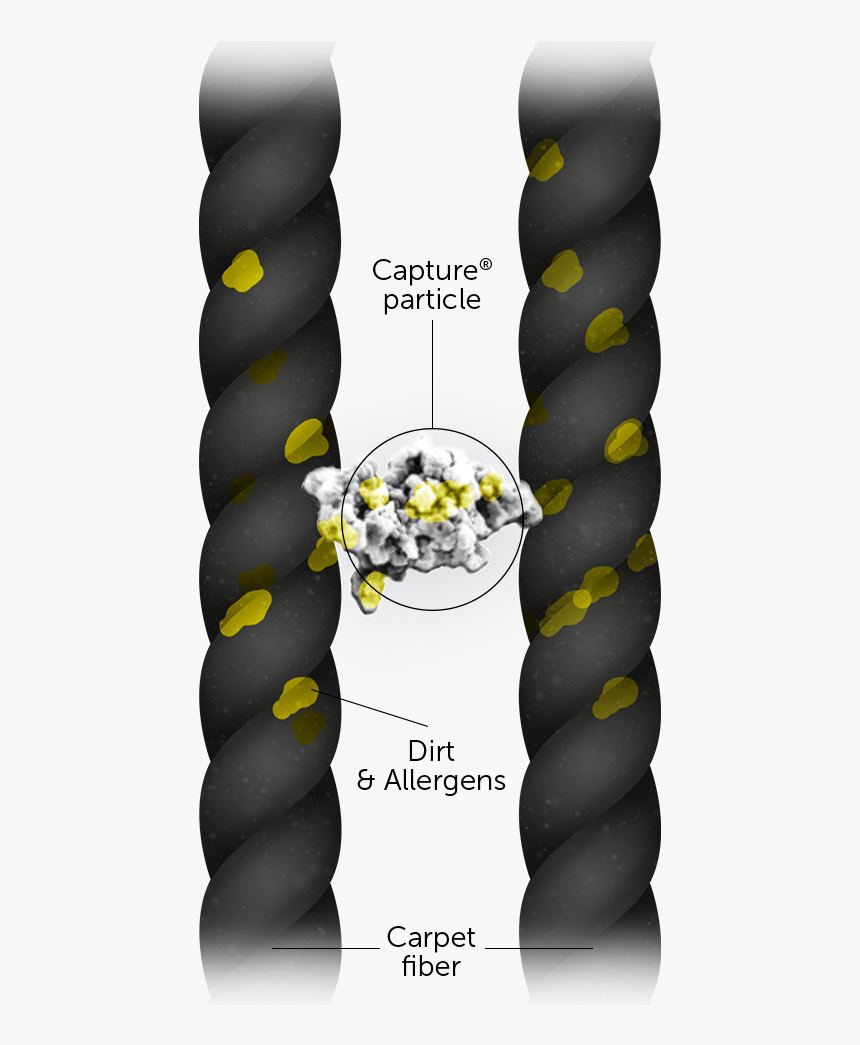 Architecture, HD Png Download