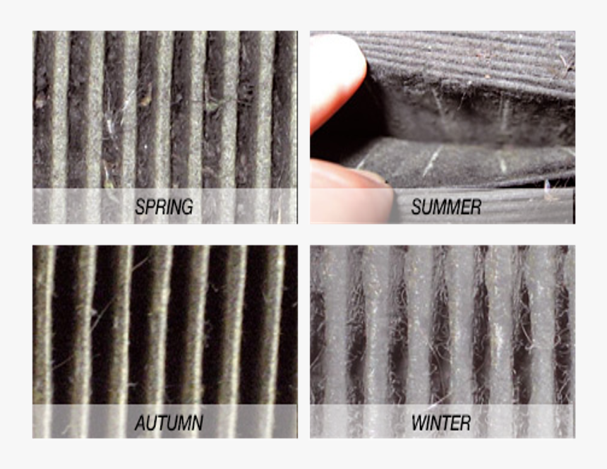 Tile, HD Png Download