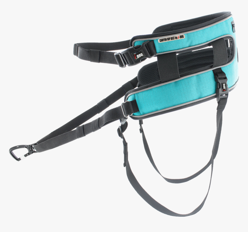 Baudrier Canyon Coté Gauche Png - Dog Baudrier Canyon, Transparent Png