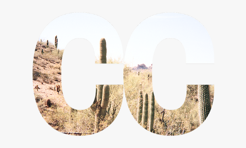 Label, HD Png Download