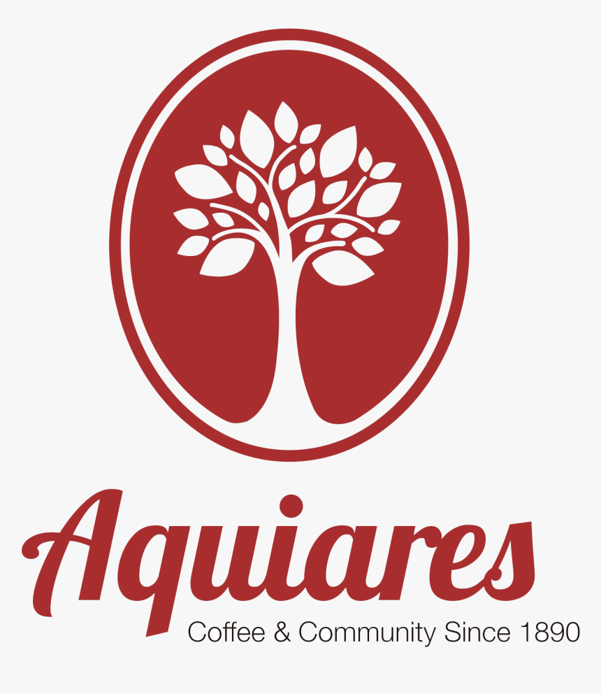 Aquarius Zodiac Sign 2019 - America's Miss Agribusiness, HD Png Download