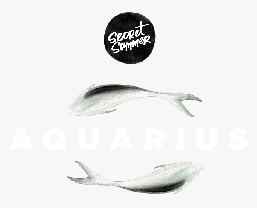 Sustainable Seafood , Png Download - Grey Whale, Transparent Png