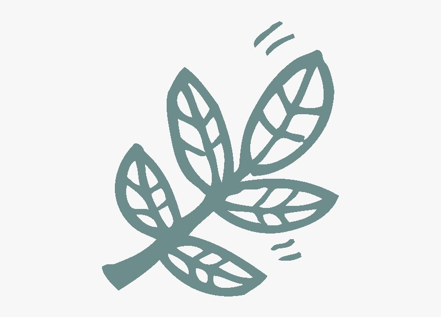 Nature Icon Paw-destrian - Insect, HD Png Download