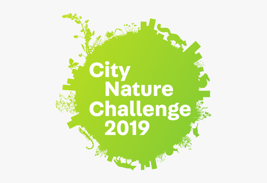 City Nature Challenge 2019, HD Png Download