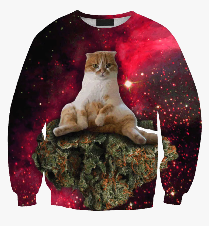 Cats Partying Gif, HD Png Download