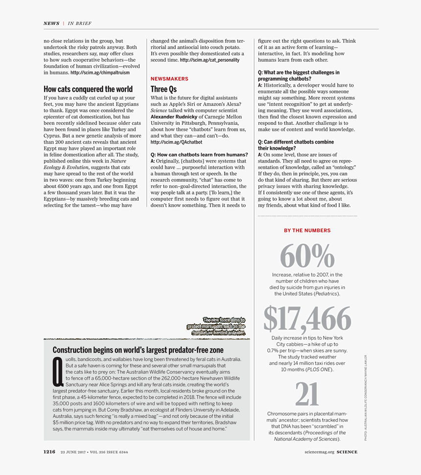 Thousand Sunny Png , Png Download - "enlightenment Is Mythic Fear Turned Radical (becoming, Transparent Png