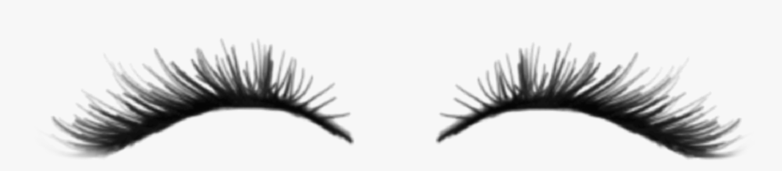 #eyelash #eyelashes #eye #eyes #zepeto #zpt #zepetoeyelashes - Eyelash Extensions, HD Png Download