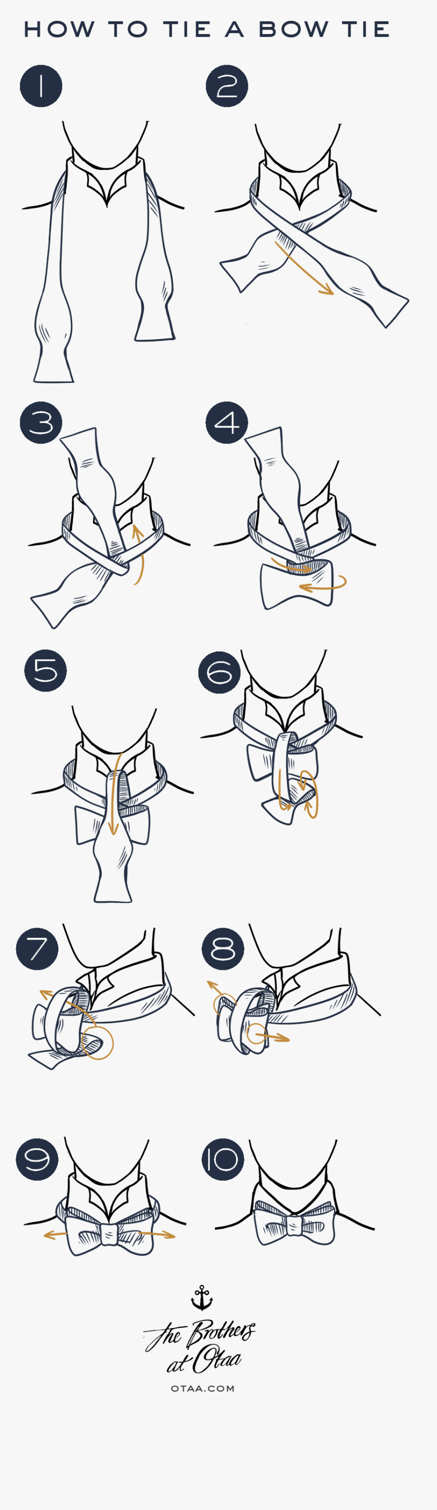 How To Tie A Bow Tie - Cartoon, HD Png Download