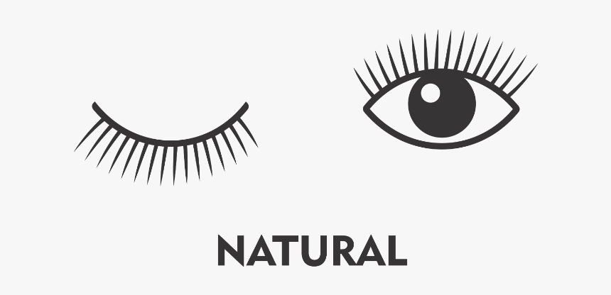 D Curl Lash Extension - Literatura De Ciencia Ficcion, HD Png Download