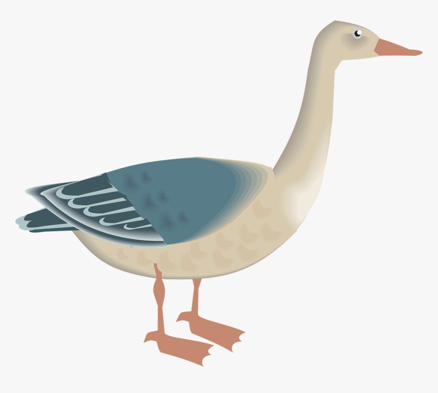 Angsa Png, Transparent Png