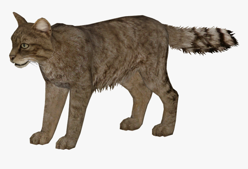 European Wildcat Additional Variants - Zoo Tycoon 2 Olive Baboon, HD Png Download