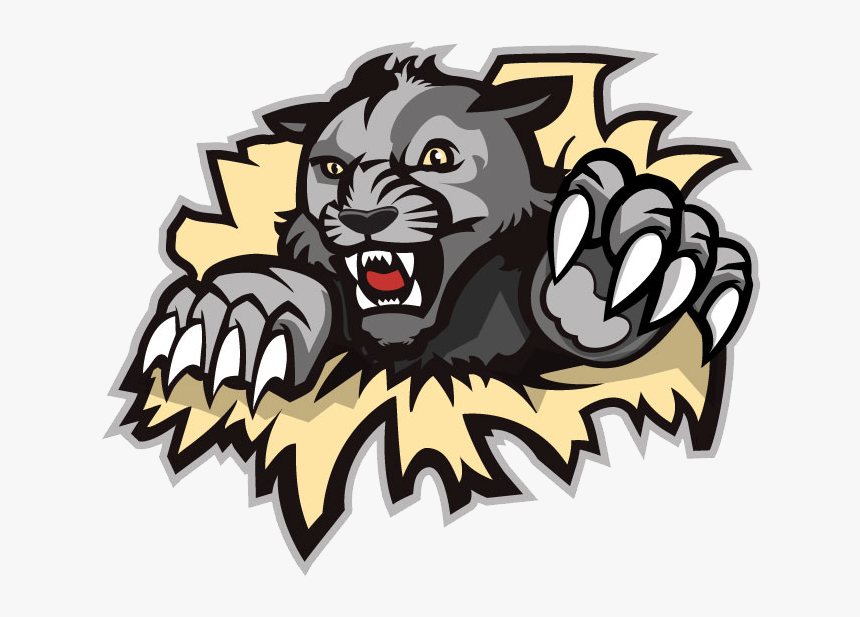 Wildcat Clipart West Shore - West Shore Wildcats Logo, HD Png Download