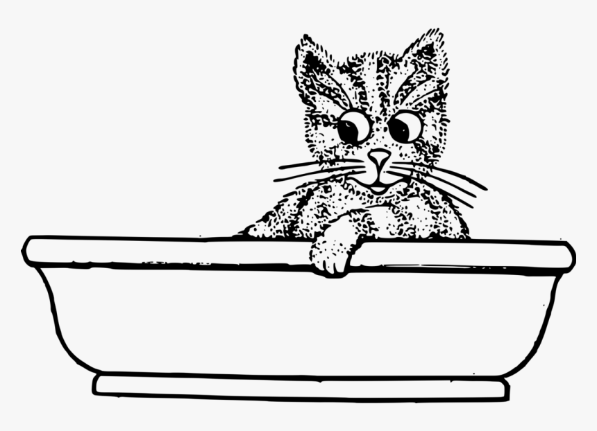 Art,monochrome Photography,carnivoran - Cat In The Tub Clipart Black And White, HD Png Download