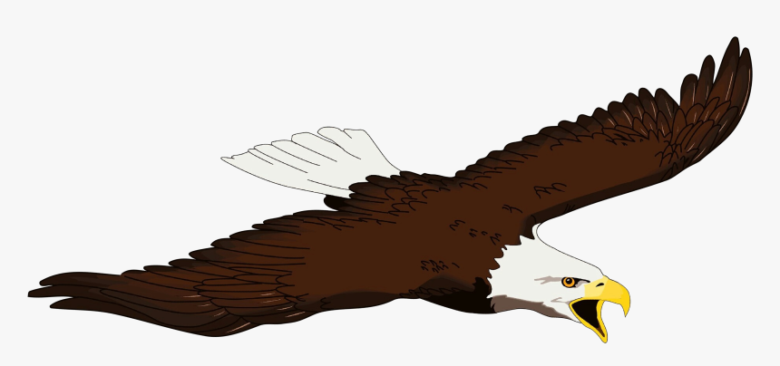 Bald Eagle Bird Beak Clip Art - Transparent Bald Eagle Art, HD Png Download