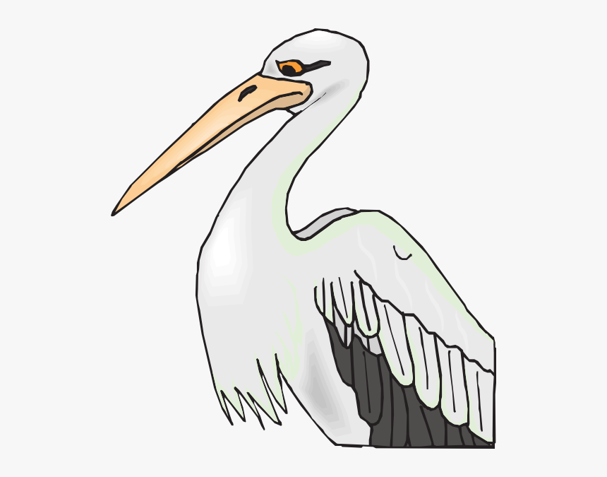 Aves De Pico Largo, HD Png Download