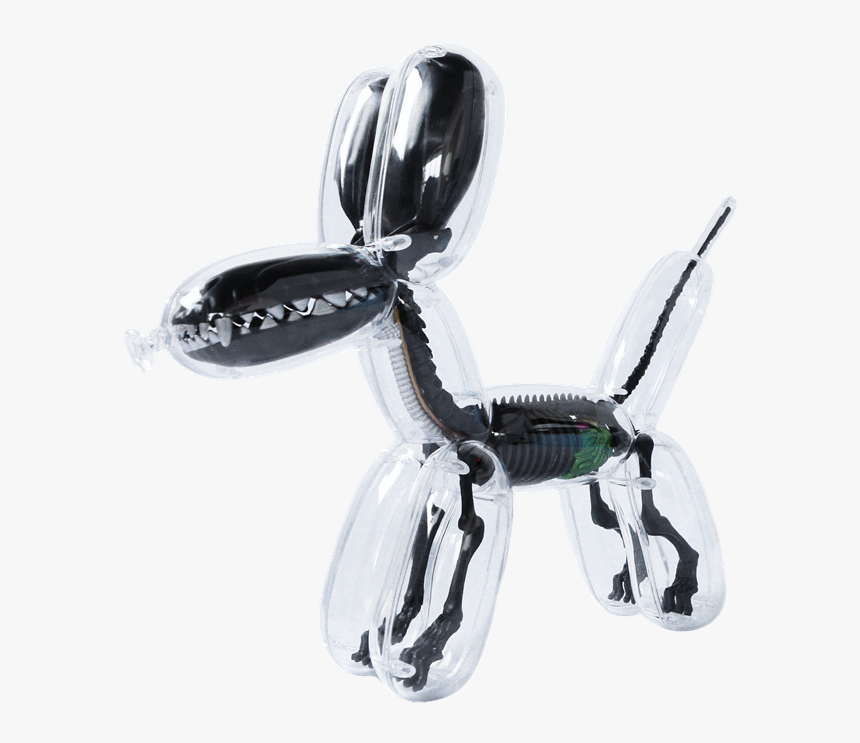 Image - Balloon Dog Anatomy By Jason Freeny, HD Png Download