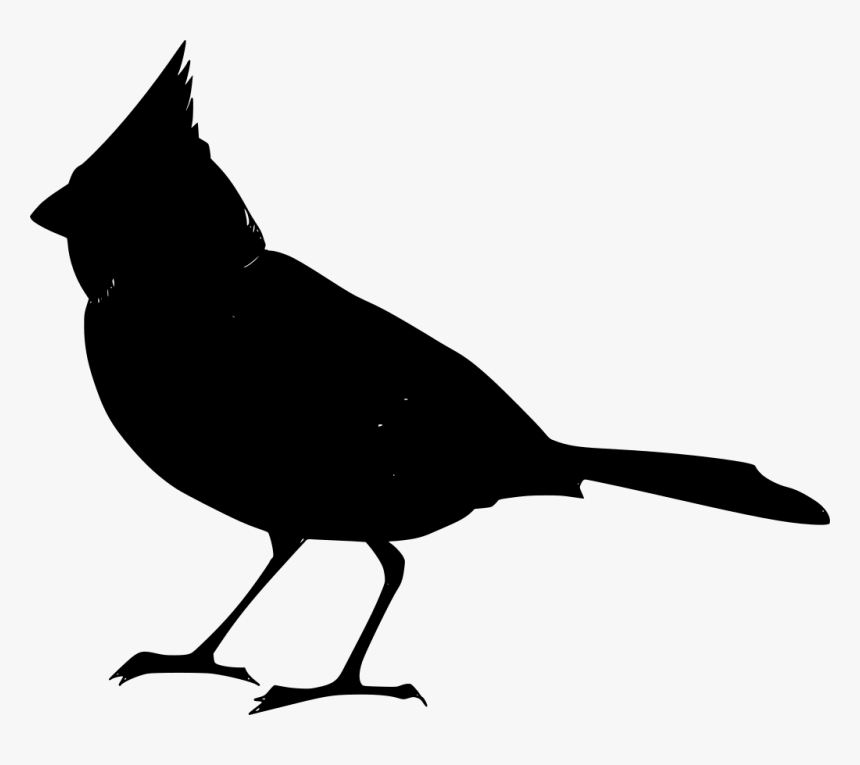Red Robin Bird Cartoon, HD Png Download