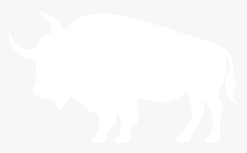 Buffalo Clip Silhouette - Black Outline Of A Tiger, HD Png Download