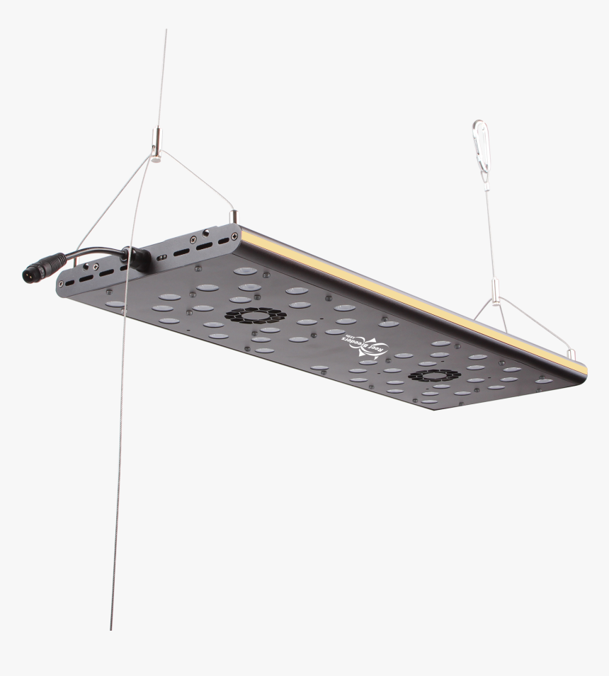 Photon Reef Breeders, HD Png Download