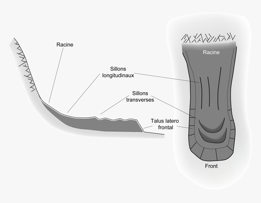 Schéma Glacier Rocheux Type - Glacier, HD Png Download