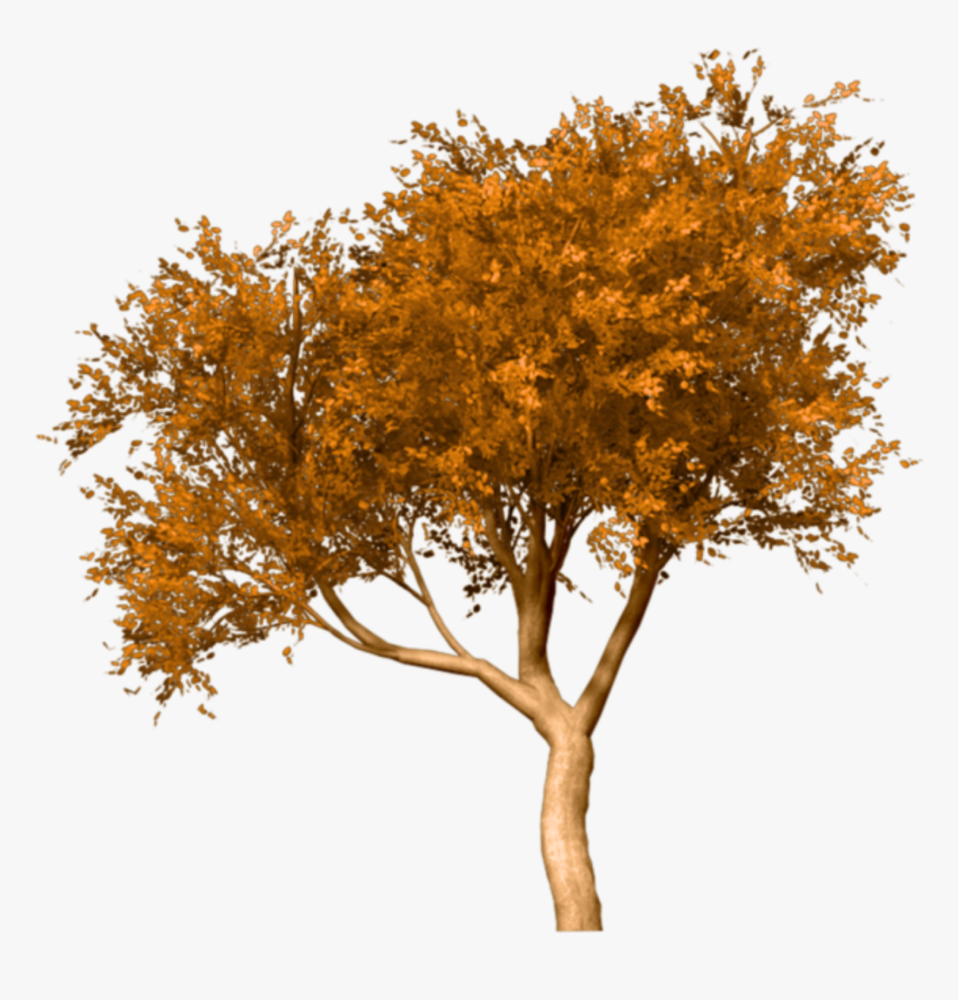 Portable Network Graphics Fall Tree Clip Art Image - Fall Tree Png, Transparent Png