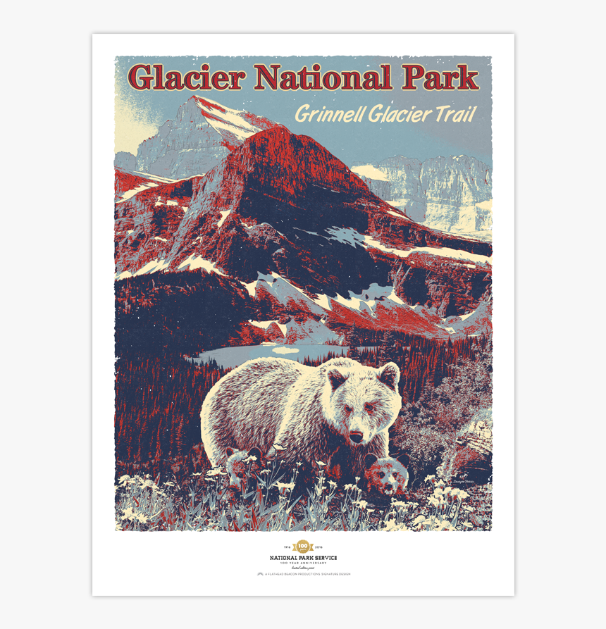 Glacier National Park Prints - Kodiak Bear, HD Png Download