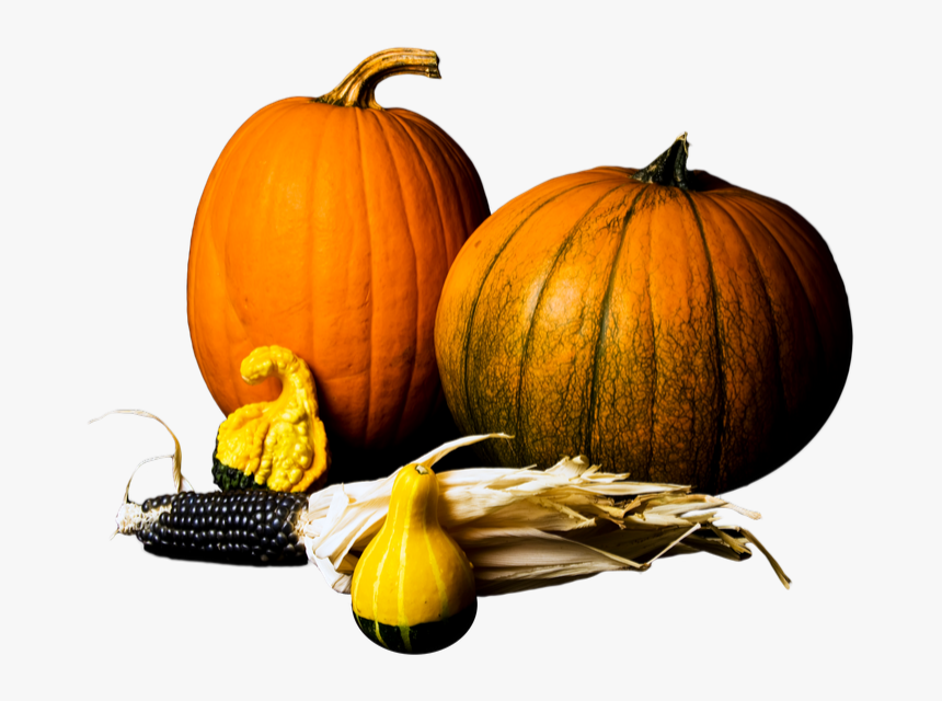Pumpkin Gourds Stock Image - Pumpkin, HD Png Download