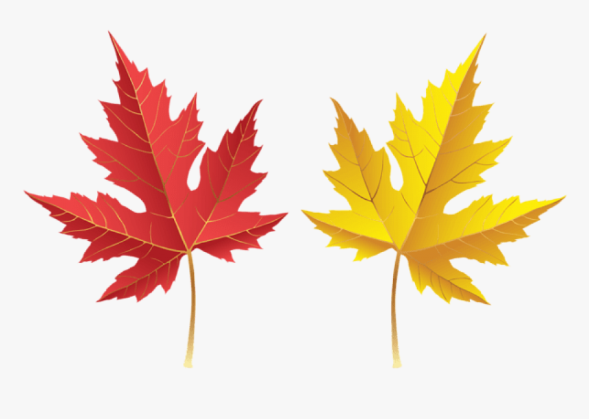 Download Leves Clipart Png Transparent Background - Leves Png, Png Download