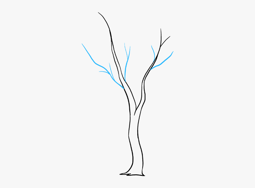 How To Draw Fall Tree - Drawing, HD Png Download