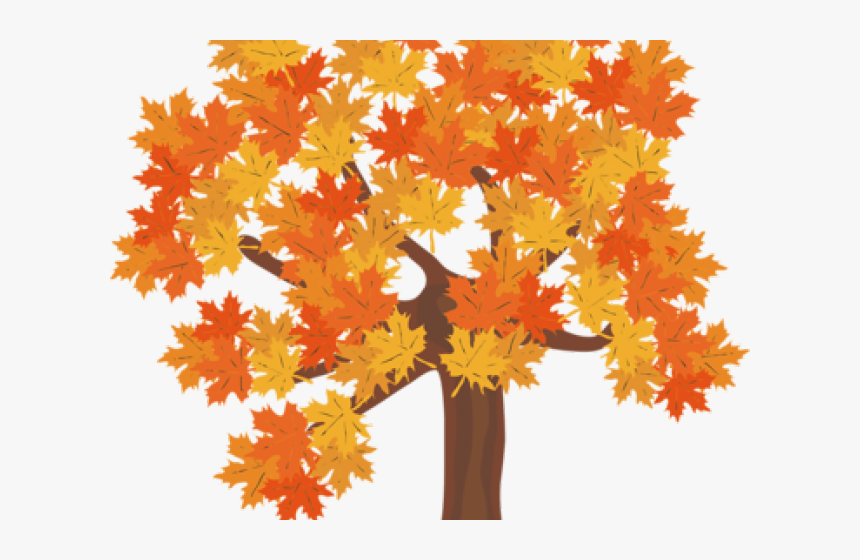 Fall Trees Clipart - Fall Tree Transparent Background, HD Png Download