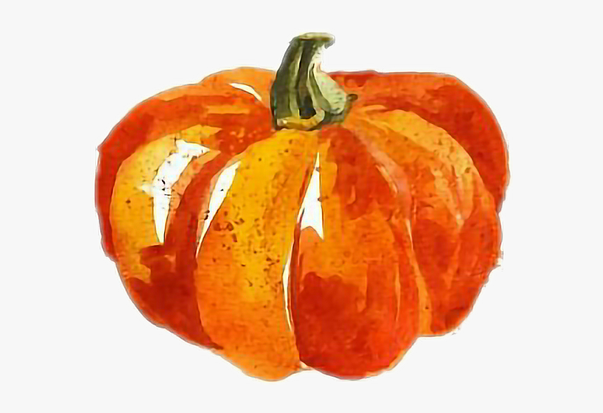 #calabaza #acuarela - Happy Thanksgiving Pumpkin, HD Png Download