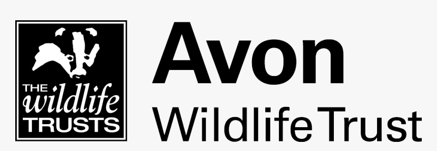 Home - Avon Wildlife Trust Logo, HD Png Download