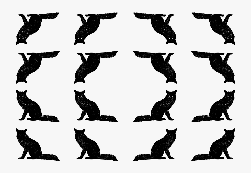 Otter, HD Png Download