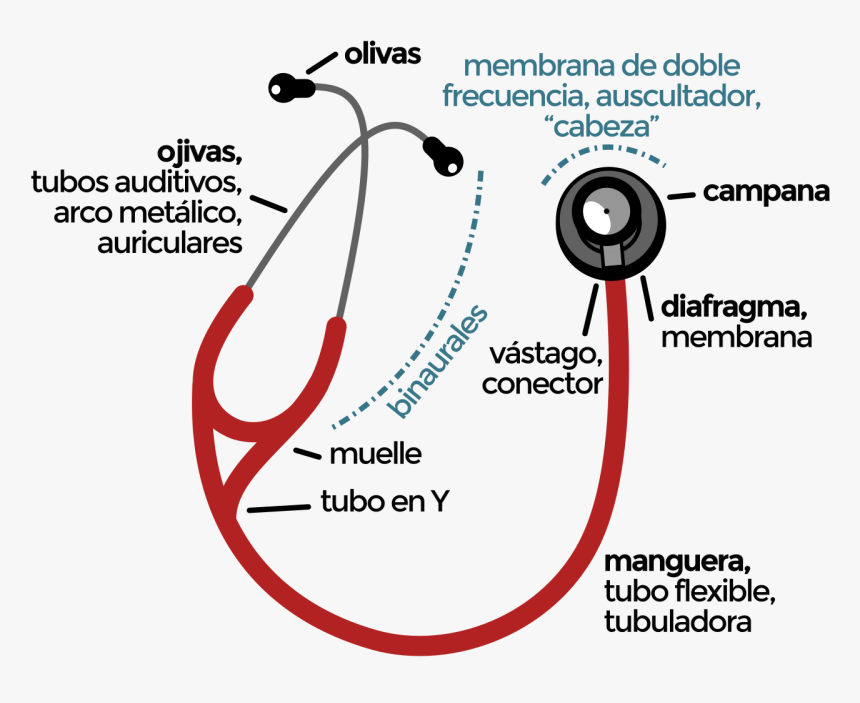 Diagram, HD Png Download