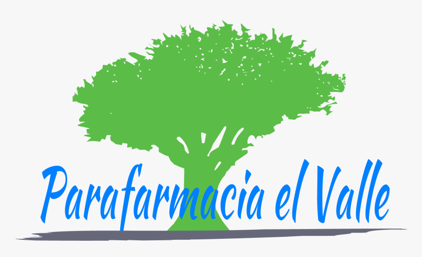 Transparent Cuadrado Png - Illustration, Png Download