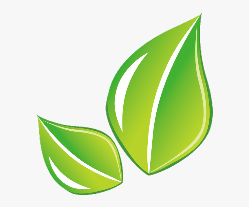 #leaf #hoja #green #png, Transparent Png