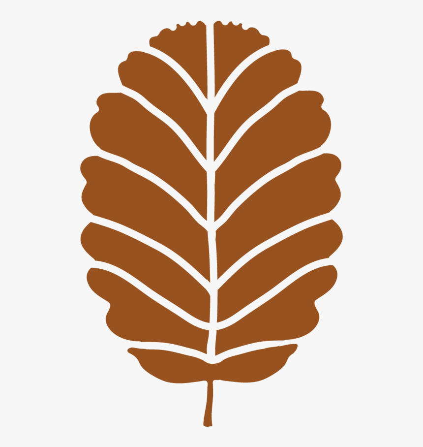 Transparent Hoja Png - Portable Network Graphics, Png Download