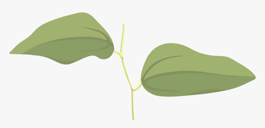 Umbrella, HD Png Download