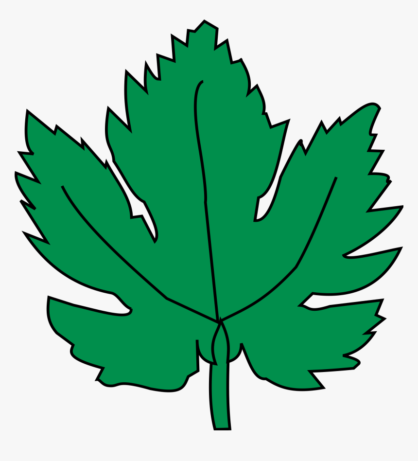 Hoja De La Parra , Png Download Clip Art Grape Leaf, Transparent Png