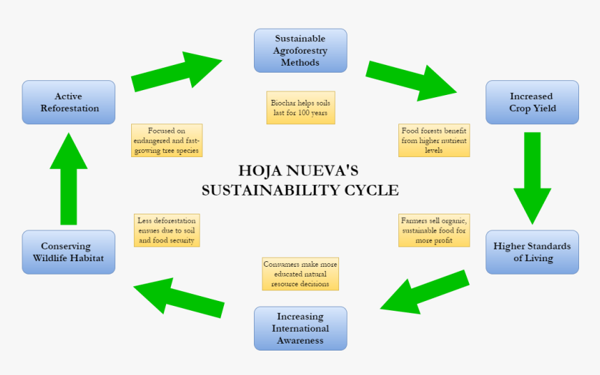 Email Marketing Automation Funnel, HD Png Download