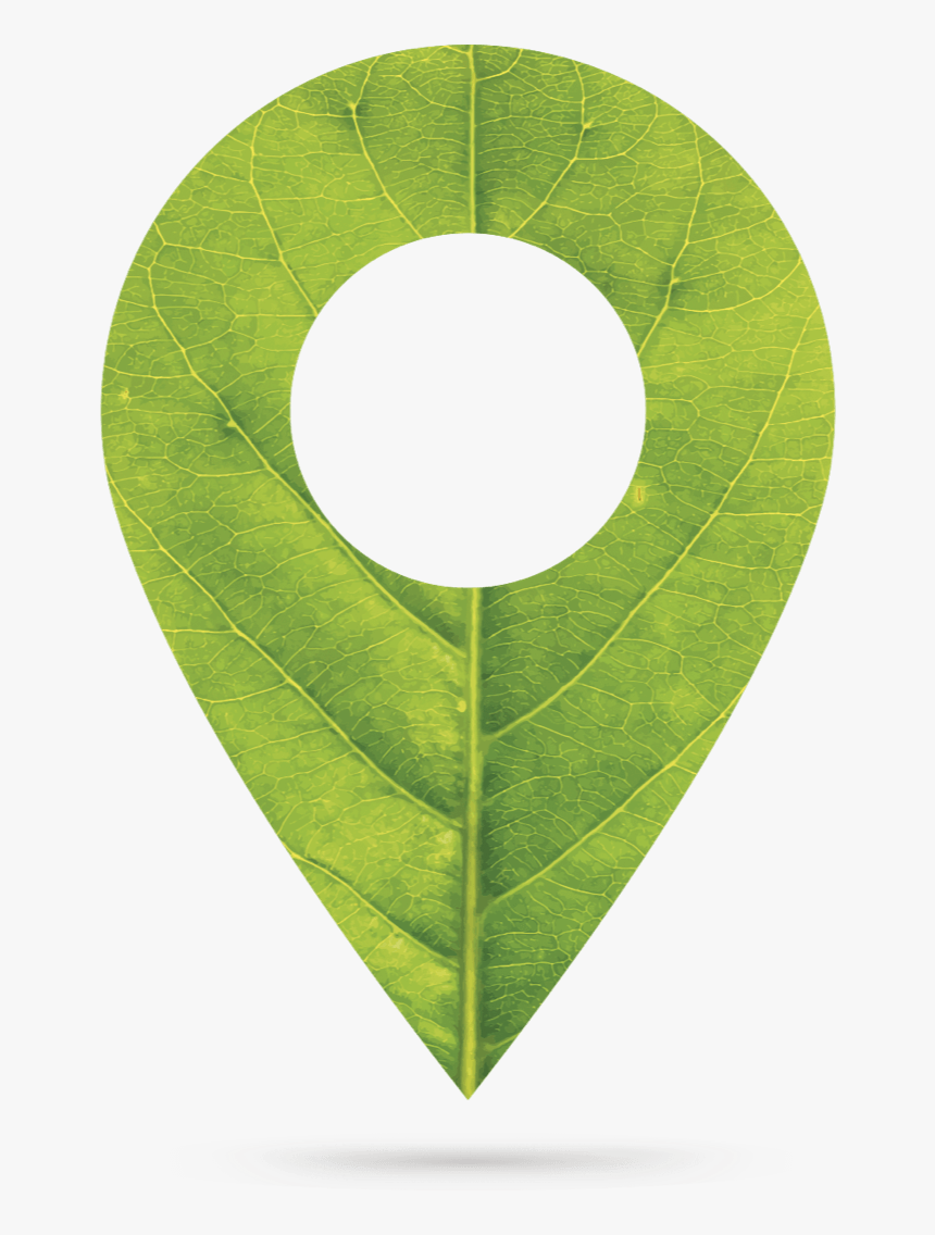 Casio Green Marker - Circle, HD Png Download