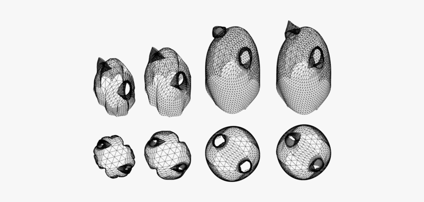 Sizes Permutation, HD Png Download