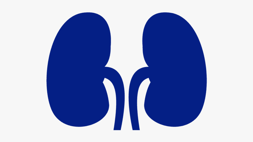 Hemodialysis Logo, HD Png Download