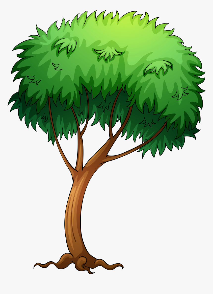 Pictures Of Trees Image - Tree With A Bird, HD Png Download