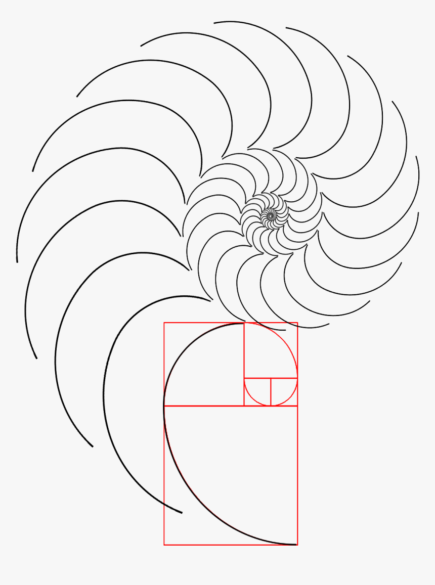 Spiral, HD Png Download